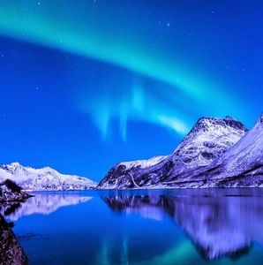 Meet your Posher, Bradley